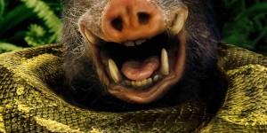 <?php the_title(); ?>