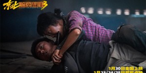 <?php the_title(); ?>