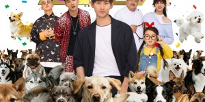 <?php the_title(); ?>