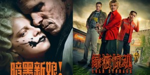 <?php the_title(); ?>