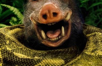 《新狂蟒之灾》1月9日上映 “蚁人”雨林整狠活！