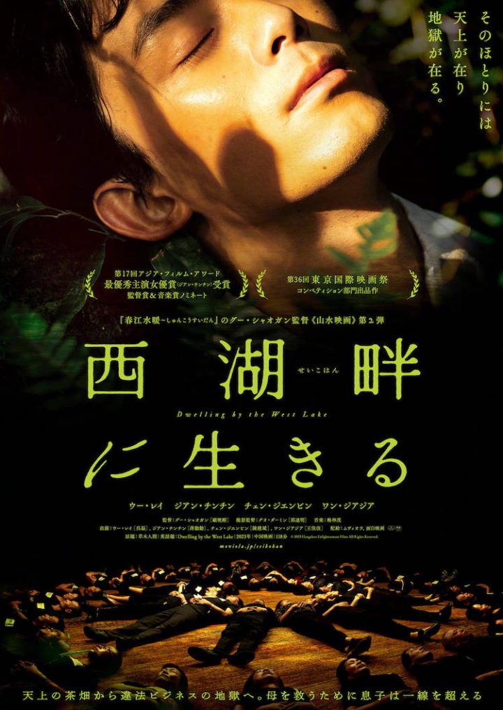 《草木人间》电影曝日版预告，吴磊蒋勤勤领衔，9月27日在日本上映