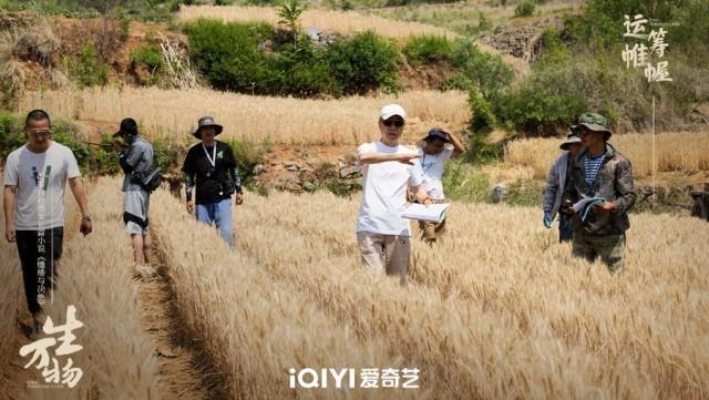 杨幂、欧豪领衔主演的电视剧《生万物》杀青