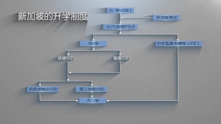 《他乡童年》探秘：容错差异映照教育与社会人文的多元