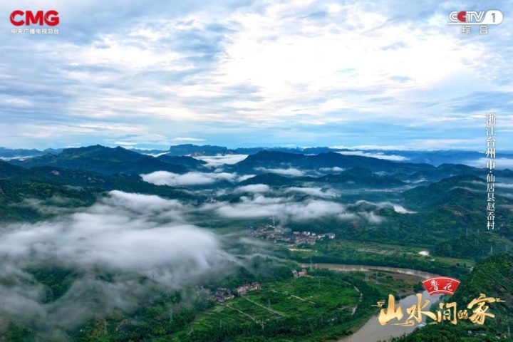 《山水间的家》：果树下，夜赏杨梅星，昼品脆李甜