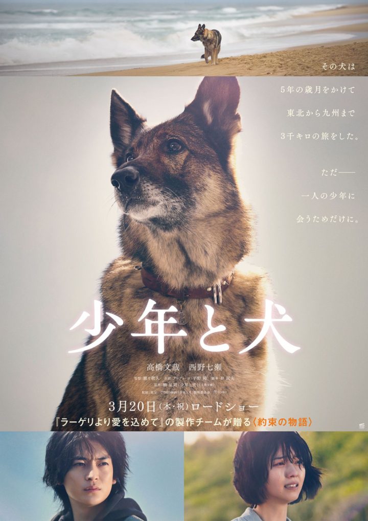 《少年与犬》首曝预告 高桥文哉主演直木奖作品 -1