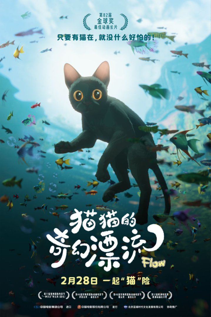 金球奖最佳动画长片《猫猫的奇幻漂流》定档2月28日 开年首部口碑萌宠佳作来袭 -1