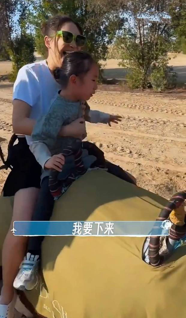 陈小春一家迪拜度假 小儿子骑骆驼被吓哭 -4