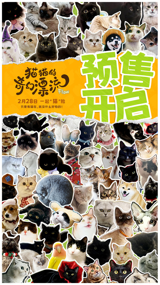 前方高萌！猫猫头来袭《猫猫的奇幻漂流》曝海报 -1