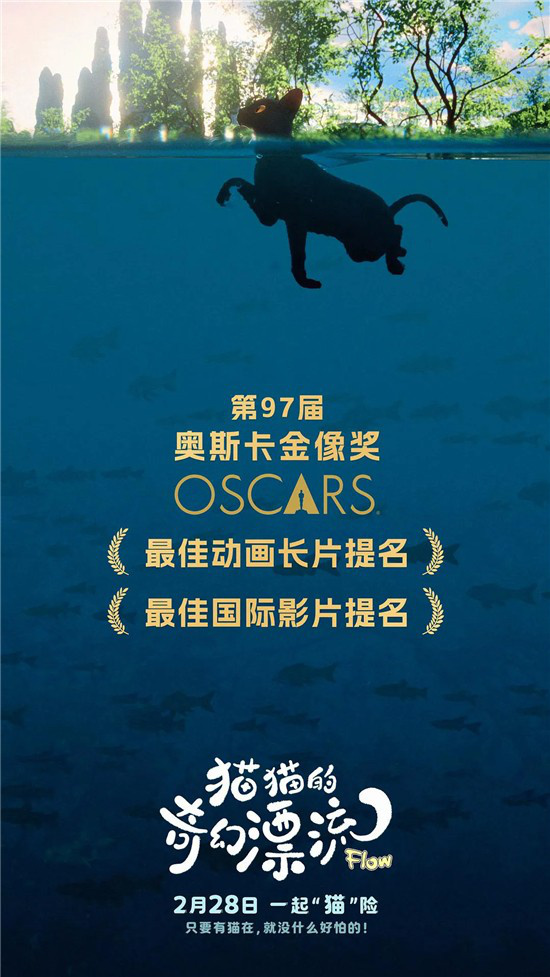 8.4分！这部口碑治愈之作，会成为下一匹黑马吗？ -9