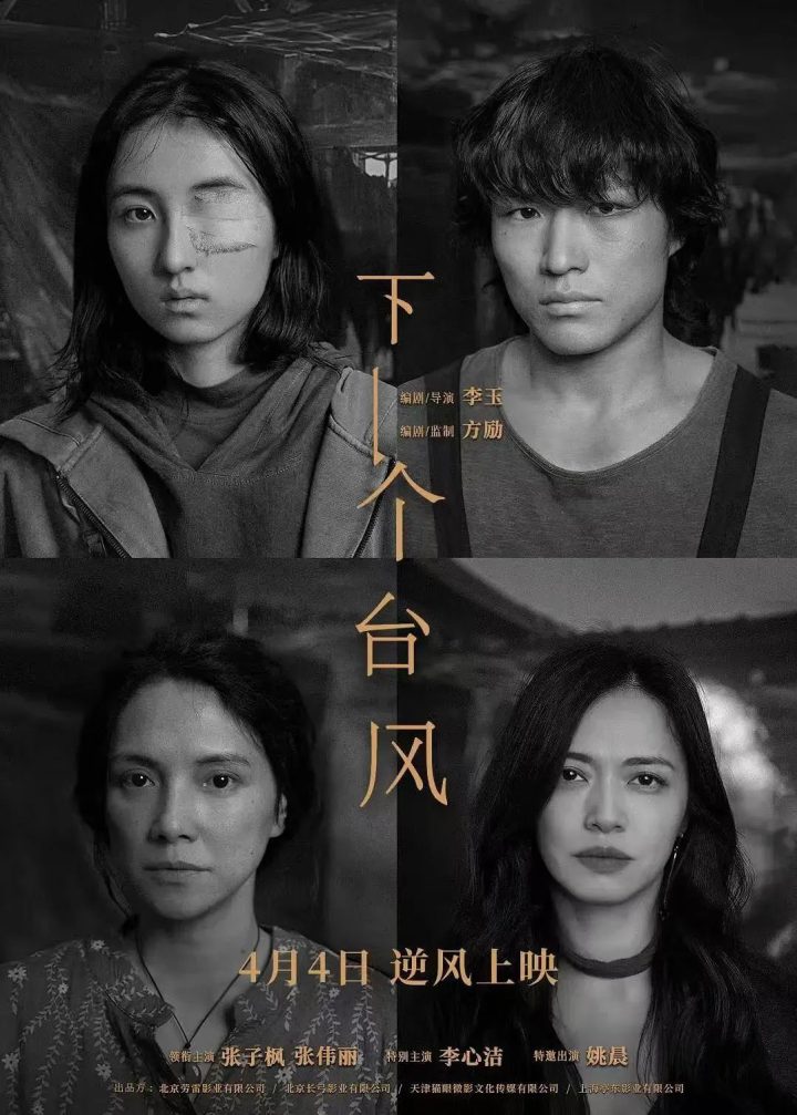 章子怡马丽赵丽颖等新片惊艳来袭，她们了不起！ -17