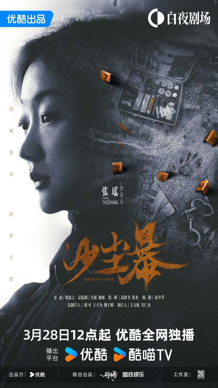 硬核悬疑剧《沙尘暴》定档3月28日，段奕宏闯入迷局探寻真相 -4