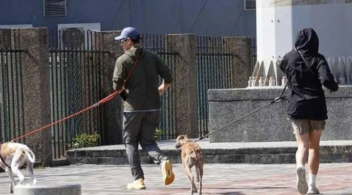 彭于晏被传新恋情，经纪人否认：只是帮忙遛狗的人 -1