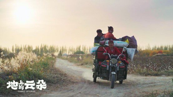 从“棉田”到“烟火人间”：一场土地和生命的共生叙事，影展佳片《地上的云朵》定 -2