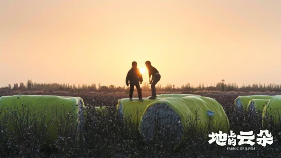 从“棉田”到“烟火人间”：一场土地和生命的共生叙事，影展佳片《地上的云朵》定 -5