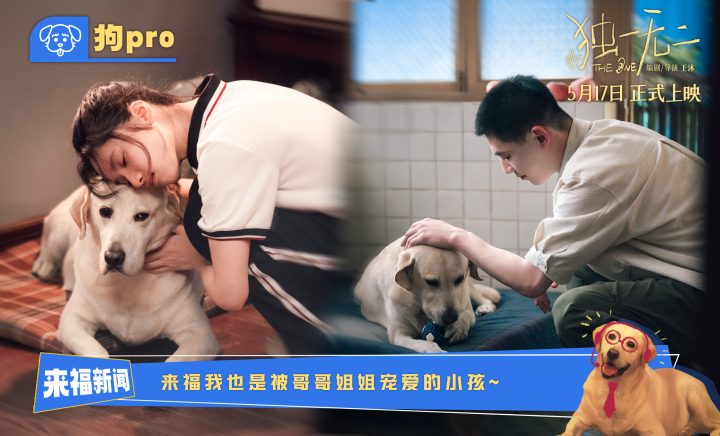 电影《独一无二》全新特辑“狗pro”观察室爆料全新大“瓜” 张婧仪辛云来兄妹 -5