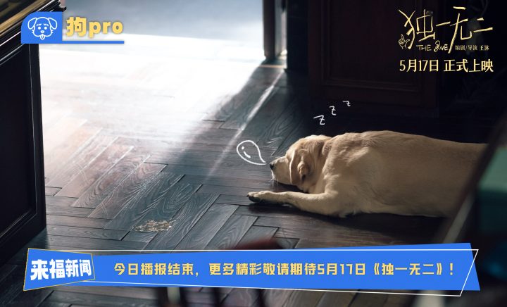 电影《独一无二》全新特辑“狗pro”观察室爆料全新大“瓜” 张婧仪辛云来兄妹 -6