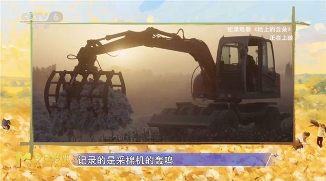 《地上的云朵》：当新疆的云絮坠落在棉田里 -2