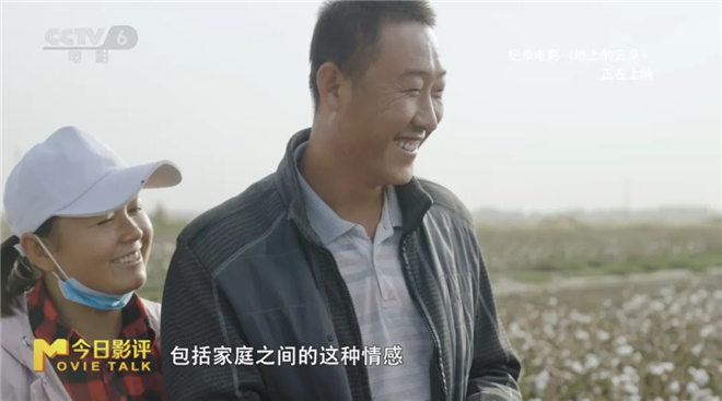 《地上的云朵》：当新疆的云絮坠落在棉田里 -6