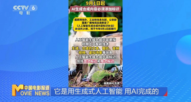 《人生开门红》票房破亿 直播行业为何乱象丛生？ -8
