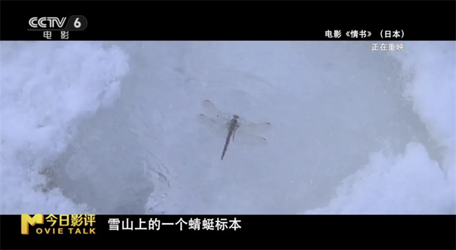 时隔30年，纯爱经典之作《情书》真的过时了吗？ -12