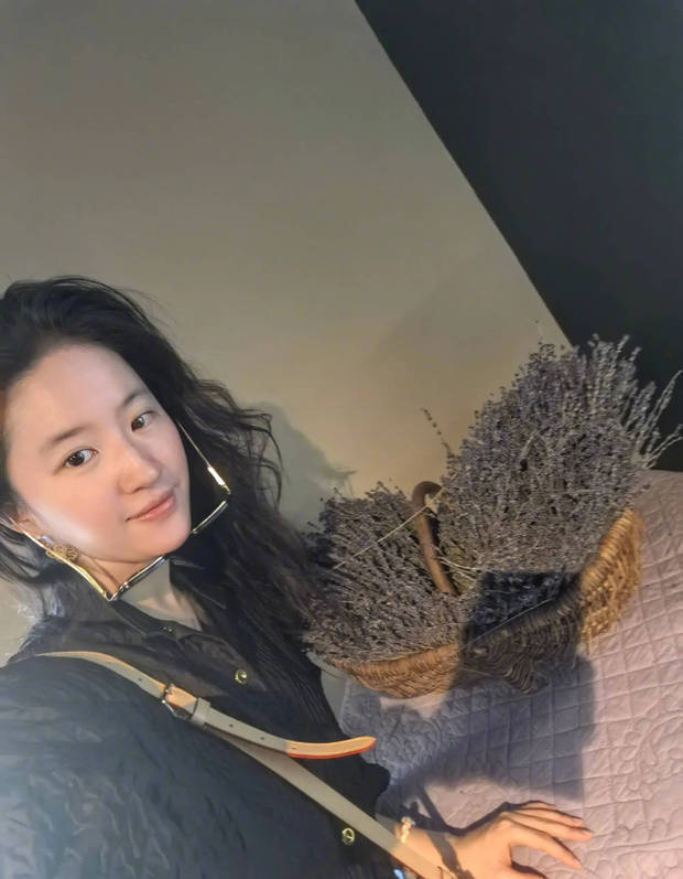 刘亦菲蓝裙碎花配素颜，清新明媚似少女 -4