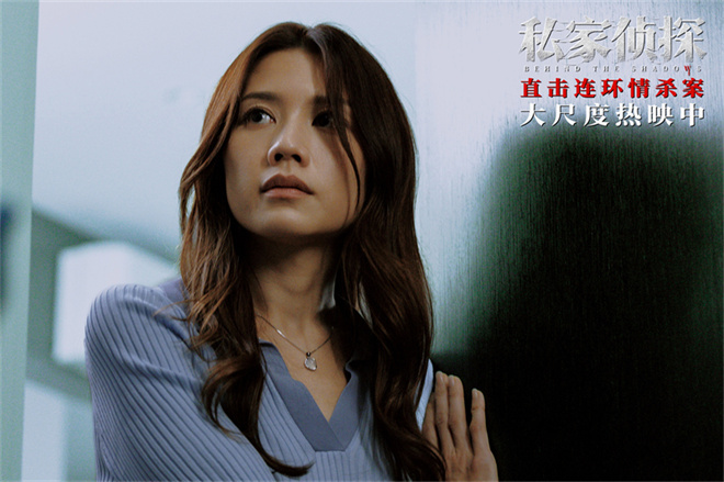《私家侦探》手机版原声版【HD1080P/3.9G-MP4】百度云资源分享