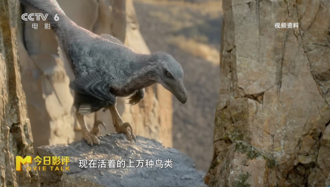 今日影评|霸王龙前肢短小，居然是怕被同伴咬掉？ -9