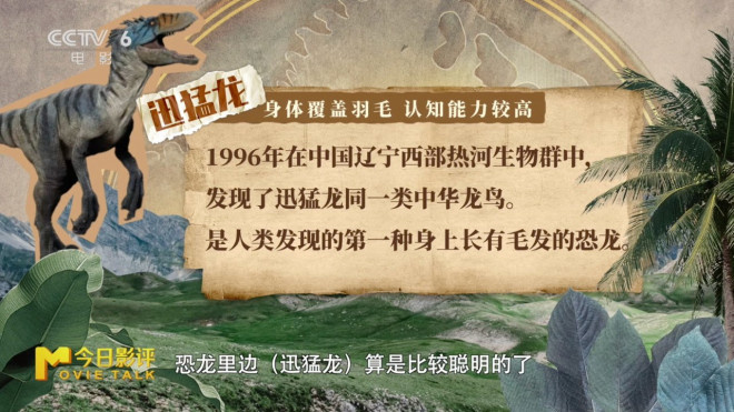 今日影评|霸王龙前肢短小，居然是怕被同伴咬掉？ -10
