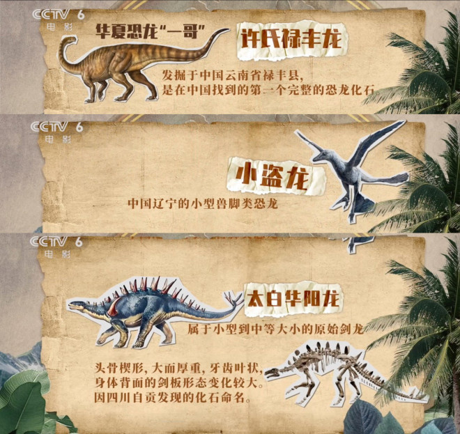 今日影评|霸王龙前肢短小，居然是怕被同伴咬掉？ -13