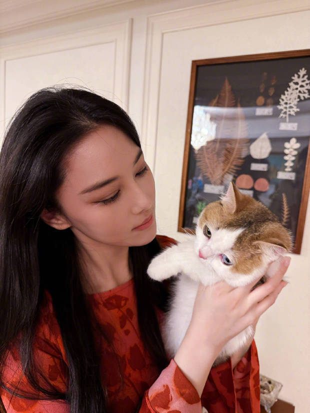 张馨予晒居家随拍，抱猫合影温馨又养眼 -3