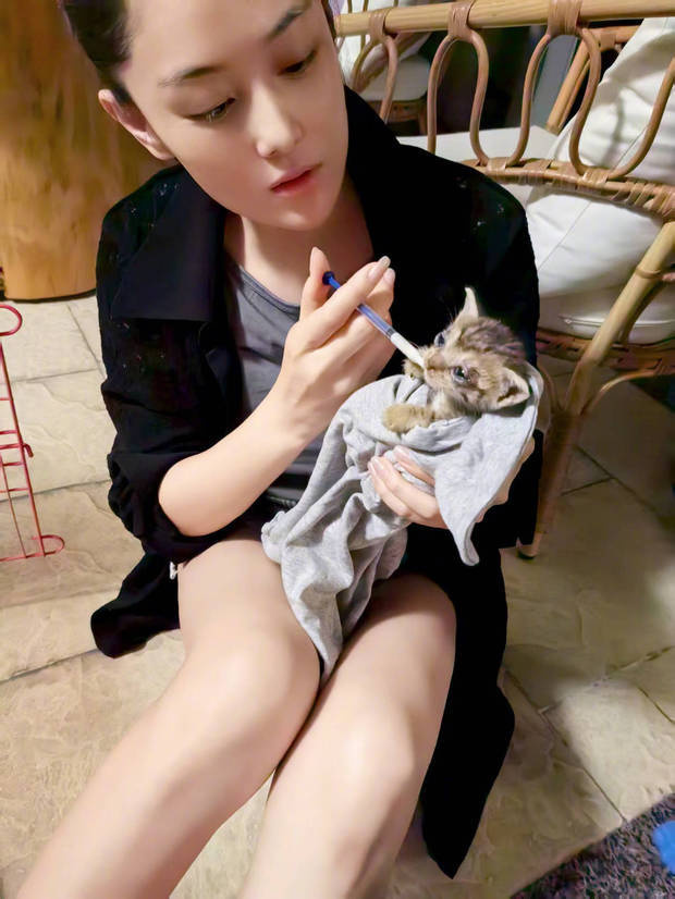 张馨予晒居家随拍，抱猫合影温馨又养眼 -2