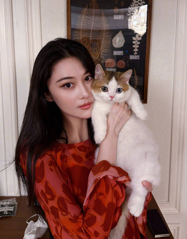 张馨予晒居家随拍，抱猫合影温馨又养眼 -1