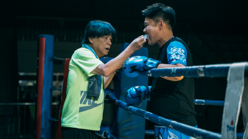 “爱心之拳”河北开画 秦宇携梁小龙演绎搏击慈善 -2