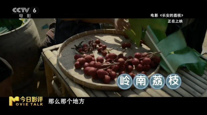 历史与艺术碰撞 解读《长安的荔枝》“荔史”密码 -6