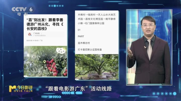 《南京照相馆》领跑暑期档 八月好片云集！ -18