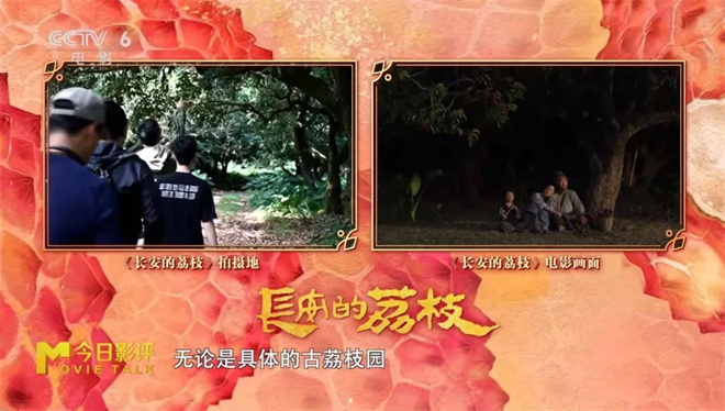 跟着电影去打卡!这些取景地藏着更燃的“番外篇” -17