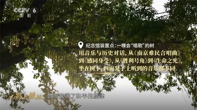 走进纪念馆：透过底片上的星火 触碰那段滚烫历史 -15