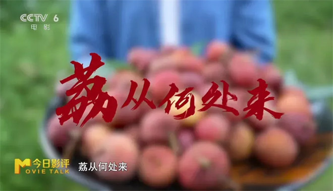 尝一颗“李善德同款”荔枝 品出怎样的人生滋味？ -3