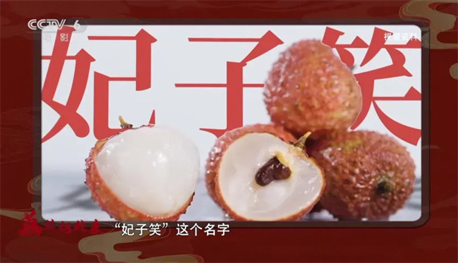 尝一颗“李善德同款”荔枝 品出怎样的人生滋味？ -5