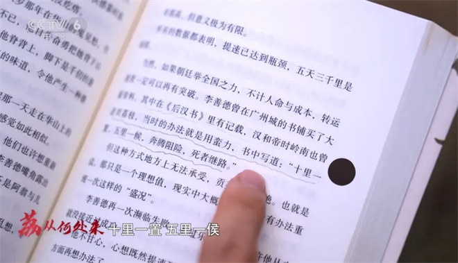 尝一颗“李善德同款”荔枝 品出怎样的人生滋味？ -12
