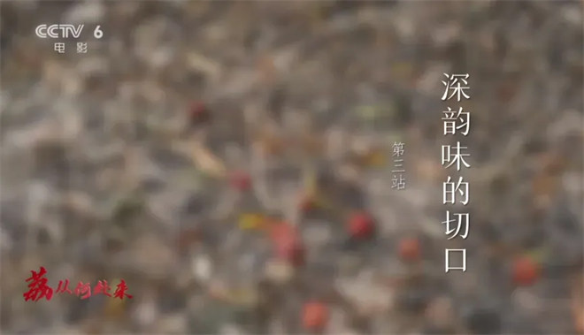 尝一颗“李善德同款”荔枝 品出怎样的人生滋味？ -13
