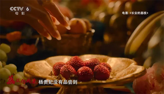 尝一颗“李善德同款”荔枝 品出怎样的人生滋味？ -17