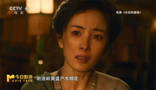 尝一颗“李善德同款”荔枝 品出怎样的人生滋味？ -18