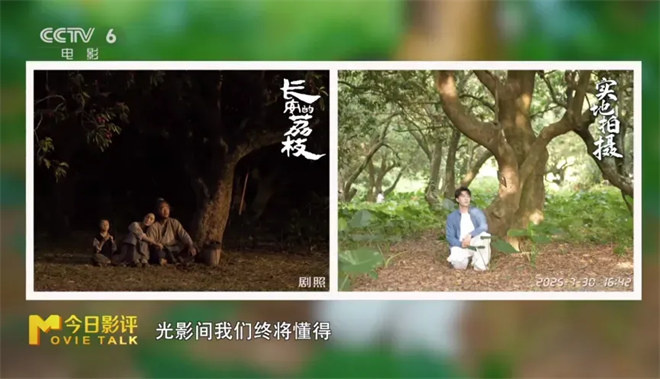 尝一颗“李善德同款”荔枝 品出怎样的人生滋味？ -19