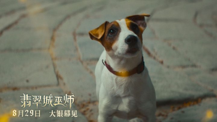暑假最后的狂欢！俄版“绿野仙踪”《翡翠城巫师》定档8月29日 -1