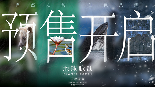 汉斯·季默配乐!《地球脉动：万物有道》定档9.12 -2