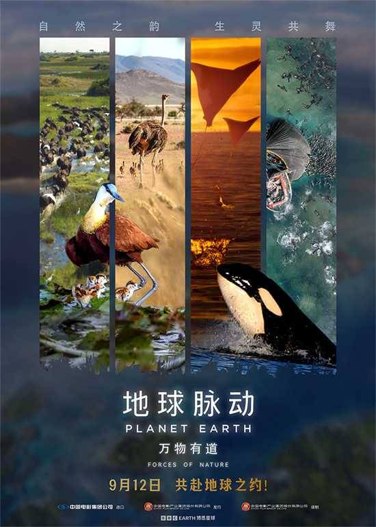 汉斯·季默配乐!《地球脉动：万物有道》定档9.12 -1