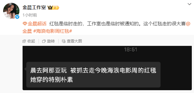 金晨红毯朴素原因：阿那亚游玩临时被抓 -2