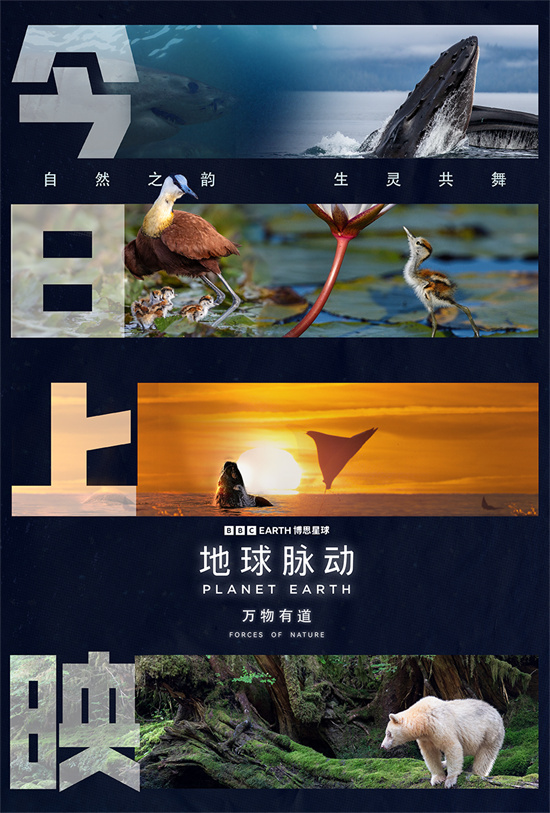《地球脉动:万物有道》曝预告 与万物同行回归本真 -1